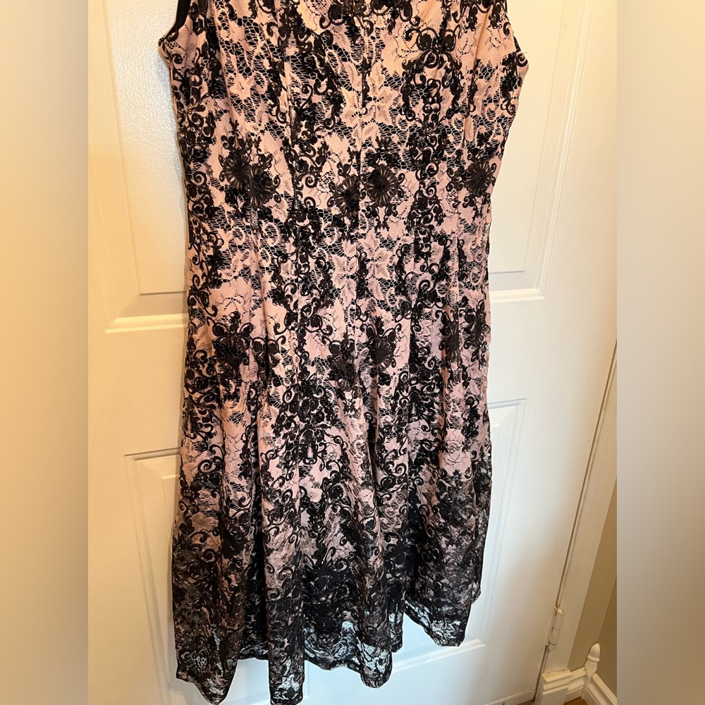 Stunning Lace Dress By Laura Petites Size 14P